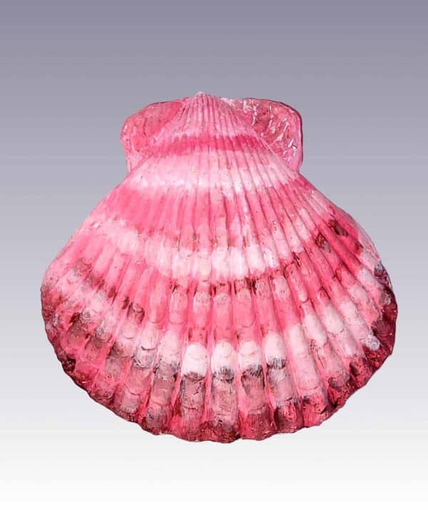 Pick Seashell urn calico scallop