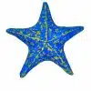 Sea Star Starfish Urn