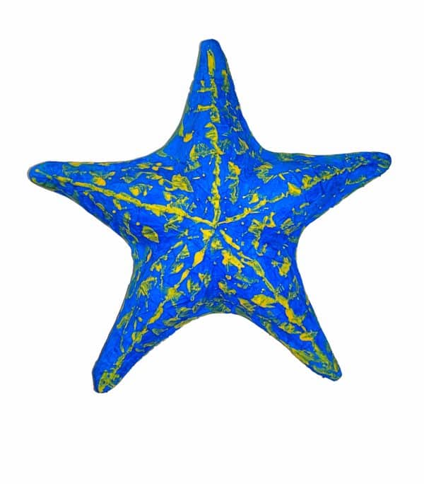 Sea Star Starfish Urn