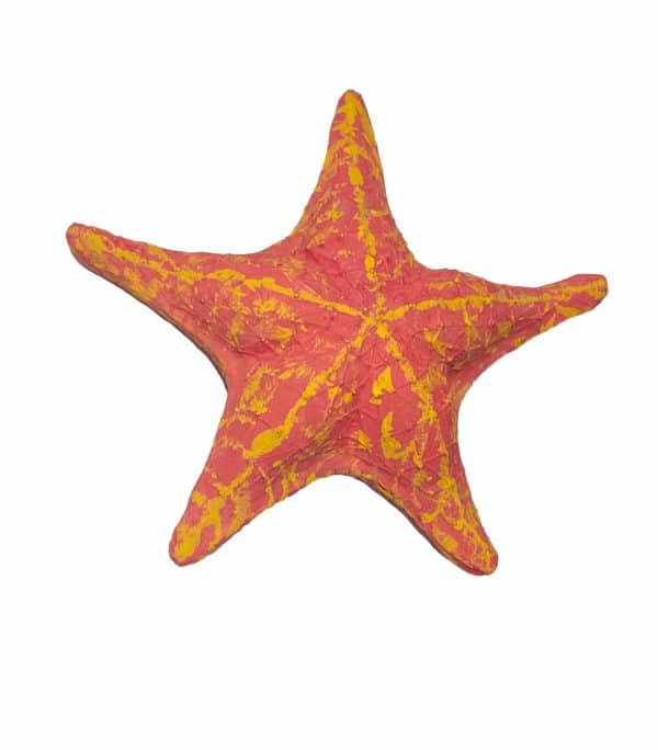 Sea Star Starfish urn